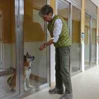 Haven: ARK founder Elizabeth Oliver greets one of the residents of ARK\'s new shelter in Sasayama. | ALICE GORDENKER