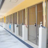 Dogs’ digs: ARK’s new kennels at Sasayama are well-ventilated and designed to be easy to clean so healthy, hygienic conditions can be maintained. | COURTESY OF ARK