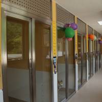 State-of-the-art: The kennels at ARK’s new Sasayama shelter are climate-controlled and built with components imported from Britain. | COURTESY OF ARK