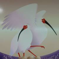 A poster of a pair of crested ibis, also once thought lost, adorns the wall of a ferry to Sado island, Niigata Prefecture. | MARK BRAZIL