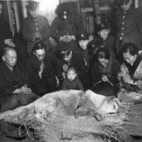 Every dog has its day: The funeral of Hachiko, Japan’s beloved loyal canine, in 1935. | \"MIKE\" MICHAEL L. BAIRD