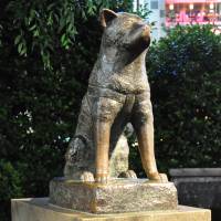 \"Hachiko\" by Alex used under CC BY 2.0 / image altered | \"MIKE\" MICHAEL L. BAIRD