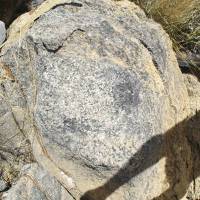 Reefs built around 550 million years ago by filter-feeding seabed creatures called Cloudina can be found in Namibia. | REUTERS