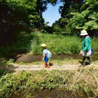 A mother and her child walk inside the Tombo no Sawa (Dragonfly Forest) at the Toyama Municipal Family Park Zoo on May 28. The zoo showcases animals and insects from Japan rather collecting and displaying rare animals. | KYODO