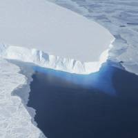 Plugging a hole: The Thwaites Glacier acts like a dam for other glaciers in the western Antarctic region. | REUTERS
