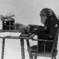 Wild intellect: A chimpanzee seated at a typewriter, presumably typing out the complete works of Shakespeare. The theory that human intelligence is partly based on genetics is controversial, but studies on chimps may make for a less emotionally charged debate. If chimps inherit their intelligence, does that prove humans do, too?