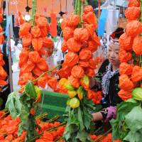 A vendor sells cuttings of the Chinese-lantern plant \"hozuki\" during the annual Hozuki Ichi market at Sensoji Temple, in Tokyo\'s Asakusa district, on Wednesday. Around 120 stalls are selling the stems until Thursday. The fruit inside the papery lanterns is edible and is believed to bring health benefits. | SATOKO KAWASAKI