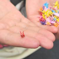 A 17-year-old schoolgirl who lives in a foster home shows off her collection of diminutive origami cranes.  | YOSHIAKI MIURA