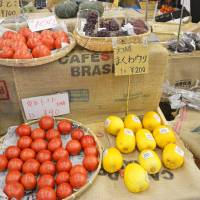 Produce specialist My Farme. | J.J. O\'DONOGHUE