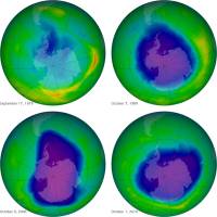 This undated image provided by NASA shows the ozone layer over the years, Sept. 17, 1979 (top left), Oct. 7, 1989 (top right), Oct. 9, 2006 (lower left) and Oct. 1, 2010 (lower right). Earth\'s protective but fragile ozone layer is finally starting to rebound, says a United Nations panel of scientists. Scientists hail this as rare environmental good news, demonstrating that when the world comes together it can stop a brewing ecological crisis. | AP/NASA