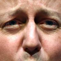 David Cameron Scottish mistrust of Conservatives is key in independence campaign