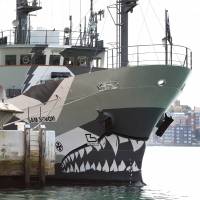 Sea Shepherd, which operates the Sam Simon, said Wednesday it would switch its Antarctic campaign from whales to toothfish if Japan calls off its winter whale hunt this year. | AFP-JIJI