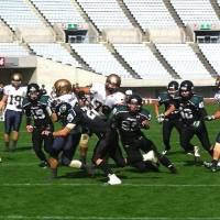 Gang star: A Kyoto University defender tries to bring down the ball carrier during a 2013 game against the Kansai University Kaisers at Nagai Stadium in Osaka. | KAZ NAGATSUKA