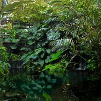Lunch inside glass: View from a restaurant in one of the greenhouse\'s domes. | KIT NAGAMURA