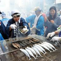 Vendors grill saury at the annual \"sanma\" festival in Meguro Ward, Tokyo, on Sept. 7. The seasonal delight, shipped from Miyako, Iwate Prefecture, was served to visitors for free. | YOSHIAKI MIURA