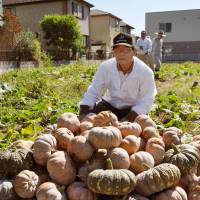 A farmer in Matsudo, Chiba Prefecture, proudly displays some of his \"space pumpkins\" Oct. 17. | KYODO