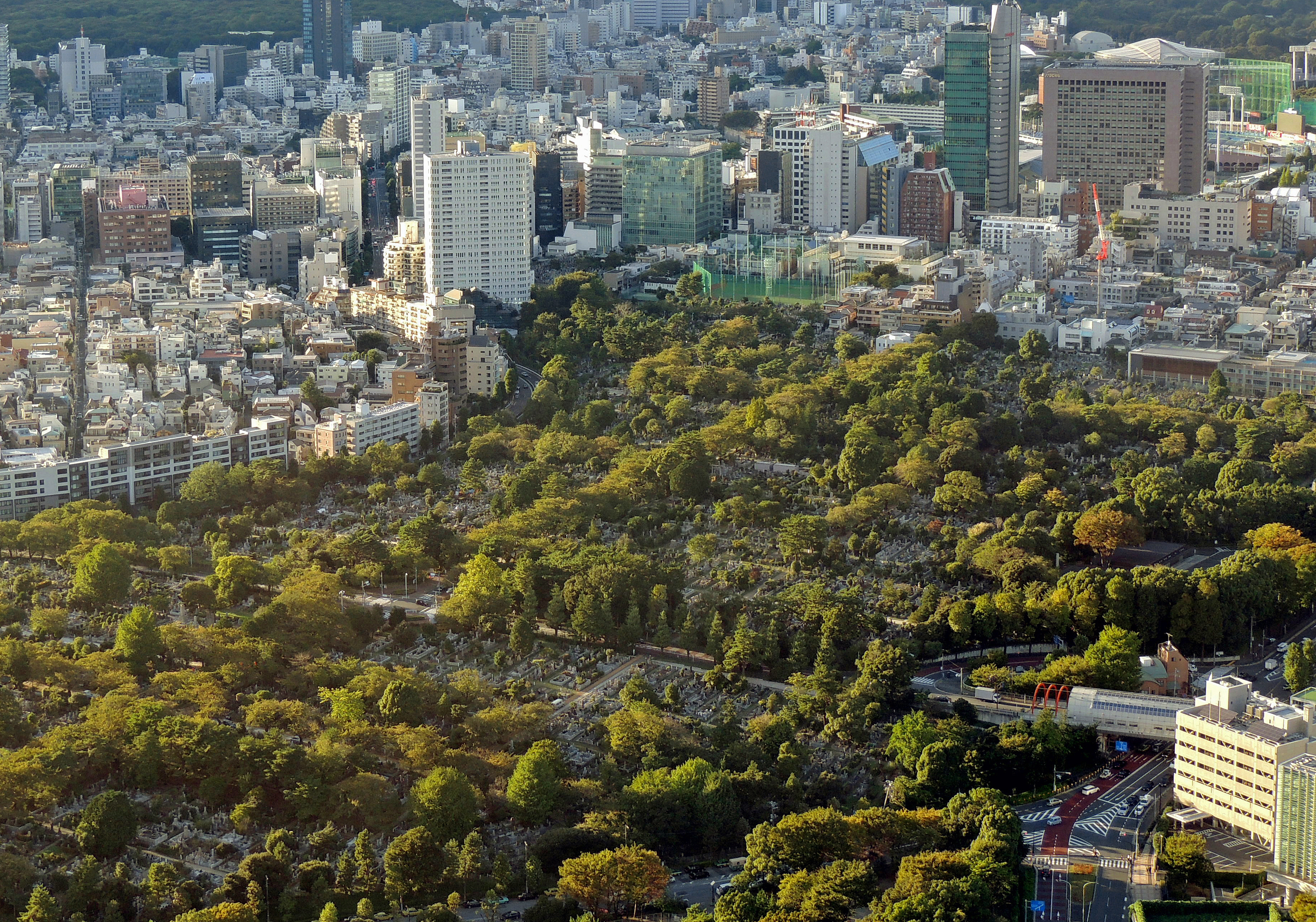 Necropolis: Aoyama Cemetery, occupying some of Tokyo's most valuable land, can be seen from Roppongi Hills. | DAVEY YOUNG