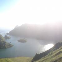 Scenic stopover: The vegetation on the remote Kuril island of Yankicha is awash with Middendorff\'s warblers, likely in southbound migration for Japan. | MARK BRAZIL