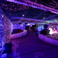 A mall twinkles in Canberra where David Richards set a Guinness World Record by stringing up almost 1.2 million Christmas lights in the center of the Australian capital on Thursday. Australian display of 1.2 million Christmas lights sets world record