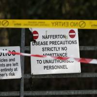 Police tape and warning signs are seen outside a duck farm in Nafferton, northern England, on Monday. Bird flu found at the farm in Yorkshire could be linked to a highly contagious strain of the disease found this weekend at a poultry farm in the central Netherlands, as well as a case early this month in Germany. | REUTERS