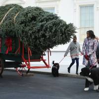 U.S. first lady Michelle Obama and her daughters Sasha Obama (left) and Malia Obama (right), their family dogs, Bo and Sonny receive the White House Christmas Tree on the north side driveway of the White House on Friday. | AFP-JIJI