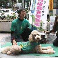 Staff from the nonprofit Japan Animal Therapy Association appeal for donations in Fukuoka in October. The group aims to increase the number of dogs it provides in Kyushu. | KYODO