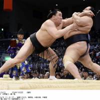 Leverage: Yokozuna Harumafuji (left) takes control against Toyonoshima on Thursday at the Kyushu Grand Sumo Tournament. | KYODO