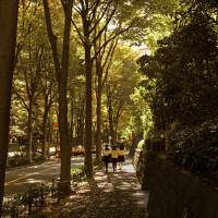 Light showers: Three schoolgirls wander through the backstreets around Hiroo Garden Hills. | KIT NAGAMURA