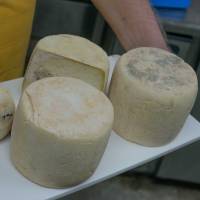 Davis holds a tray of nicely matured cheeses. | STEPHEN MANSFIELD