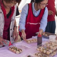 Amway volunteers help locals serve up takoyaki dumplings made with famous Minamisanriku octopus. | SKYE HOHMANN