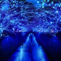 Blue moon: Tokyo’s Nakameguro River has been turned into a sparkling “Blue Tunnel” for the month of December. Brightening your holiday mood