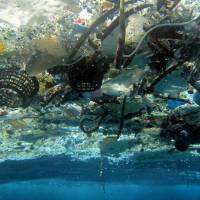 Plastic pollution: Debris floats on the surface of the ocean in Hanauma Bay, Hawaii. | AP
