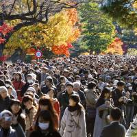 People walk under autumn leaves Wednesday along Inui-dori, a lane inside the Imperial Palace in Tokyo. The area is open to the public from 10 a.m. to 3:30 p.m. through Sunday as part of the commemorations for Emperor Akihito turning 80 last December. | KYODO