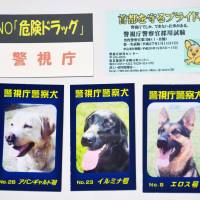 Calling cards highlight Tokyo police dogs on one side and anti-crime slogans on the back. | KYODO