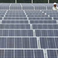 A worker stands amid solar panels manufactured by Sharp Corp. at the SoftBank Yaita Solar Park in Yaita, Tochigi Prefecture, in August 2013. | BLOOMBERG