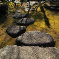 A stone path runs through the Asakura family’s garden. Monkeying around in Sarugakucho