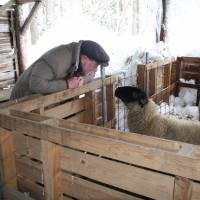 Spinning a yarn: C.W. Nicol shares a secret with a black-faced Suffolk sheep. | KENTARO KIKUCHI