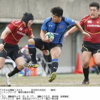Wild ride: Panasonic\'s Shota Horie takes on the Toshiba defense during the Wild Knights\' 50-15 LIXIL Cup semifinal win on Sunday. | KYODO