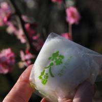 Springtime sweets: Handmade umedaifuku mochi — a sweet rice cake with a whole plum tucked inside. | KIT NAGAMURA