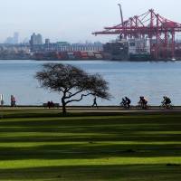 Dangerous workout?: Cyclists pass a man jogging on the seawall in Vancouver, Canada. A recent study showed that vigorous running may be harmful to your health over time. Jogging may be healthier than running