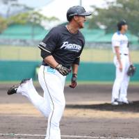 Warming up: Fighters slugger Sho Nakata rounds third base after hitting a fourth-inning home run off Shohei Otani in an intrasquad game on Tuesday in Nago, Okinawa Prefecture. | KYODO