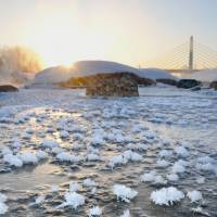 Frost resembling flower blossoms adorns a frozen river in Asahikawa, Hokkaido, early Wednesday. The day was \"Risshun,\" the start of spring under the traditional calendar, which divides the year into 24 solar terms. | KYODO