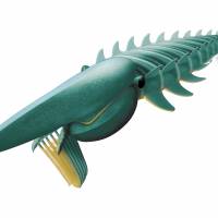 This artist’s rendering provided by Marianne Collins shows the filter-feeding anomalocaridid Aegirocassis benmoulae from the Early Ordovician (480 million years ago) off Morocco feeding on a plankton cloud. Aegirocassis reached a length in excess of 2 meters, making it one of the biggest arthropods to have ever lived, and foreshadows the appearance much later of giant filter-feeding sharks and whales. Gigantic ancient arthropod was really 'a very peaceful guy'