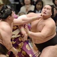 Big moment: Sekiwake Terunofuji (right) defeats Hakuho on Friday at the Spring Grand Sumo Tournament in Osaka. Hakuho had won 36 consecutive matches entering the day\'s finale.  | KYODO