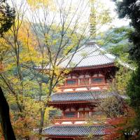 The three-story pagoda of Kiyomizu Temple near Miyama. | MANDY BARTOK