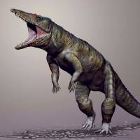 Terrestrial predator: The Carnufex carolensis lived about 231 million years ago and walked on its hind legs. | REUTERS