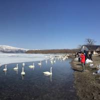 Lake Kussharo, Hokkaido | MARK BRAZIL