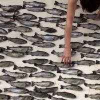 \"100 Fish, or Before and After Epicure\" | MASARU IWAI