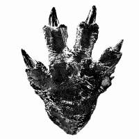 Heavy-footed: Toho have released an image of the footprint of the newest incarnation of \"Godzilla\" &#8212; the tallest yet monster in the franchise.  | TOHO CO., LTD.