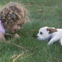Just by gazing at a little girl, this puppy may be able to induce a response from her brain chemicals that helps nurture their bond, according to a study. Puppy dog eye contact: the hormonal stuff of bonding